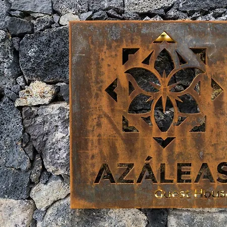 Azaleas *