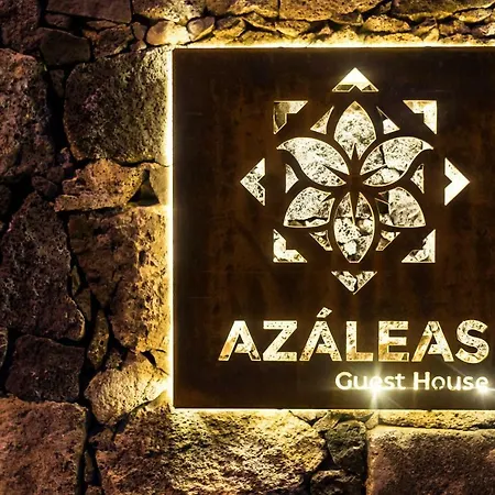 Azaleas