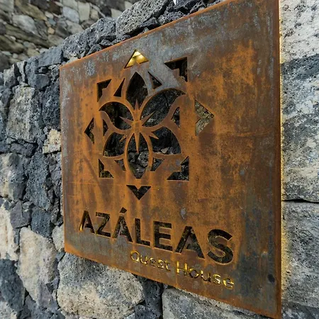 Azaleas *