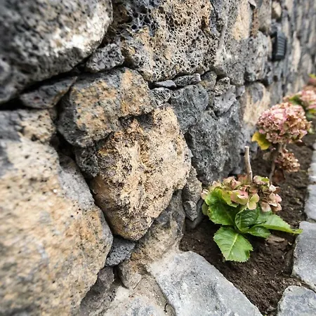 בית נופש Azaleas